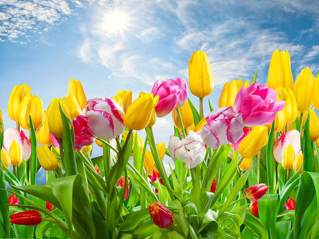 Springtime Bingo for Kids - Subscription Box Kids