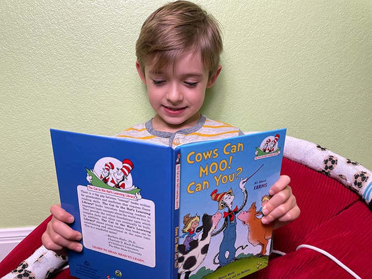 How to Help a Child Struggling with Reading
