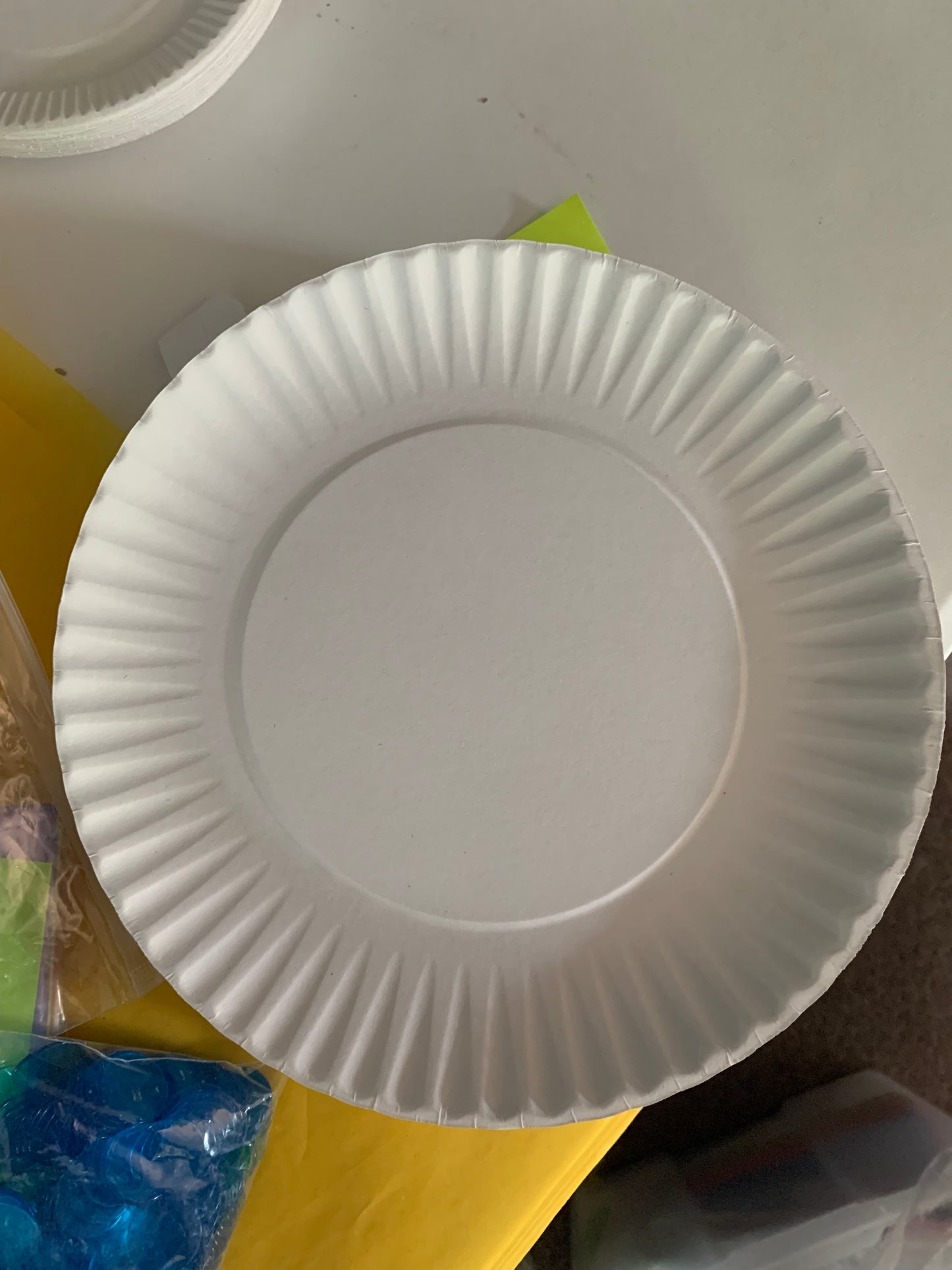 Large Paper Plate