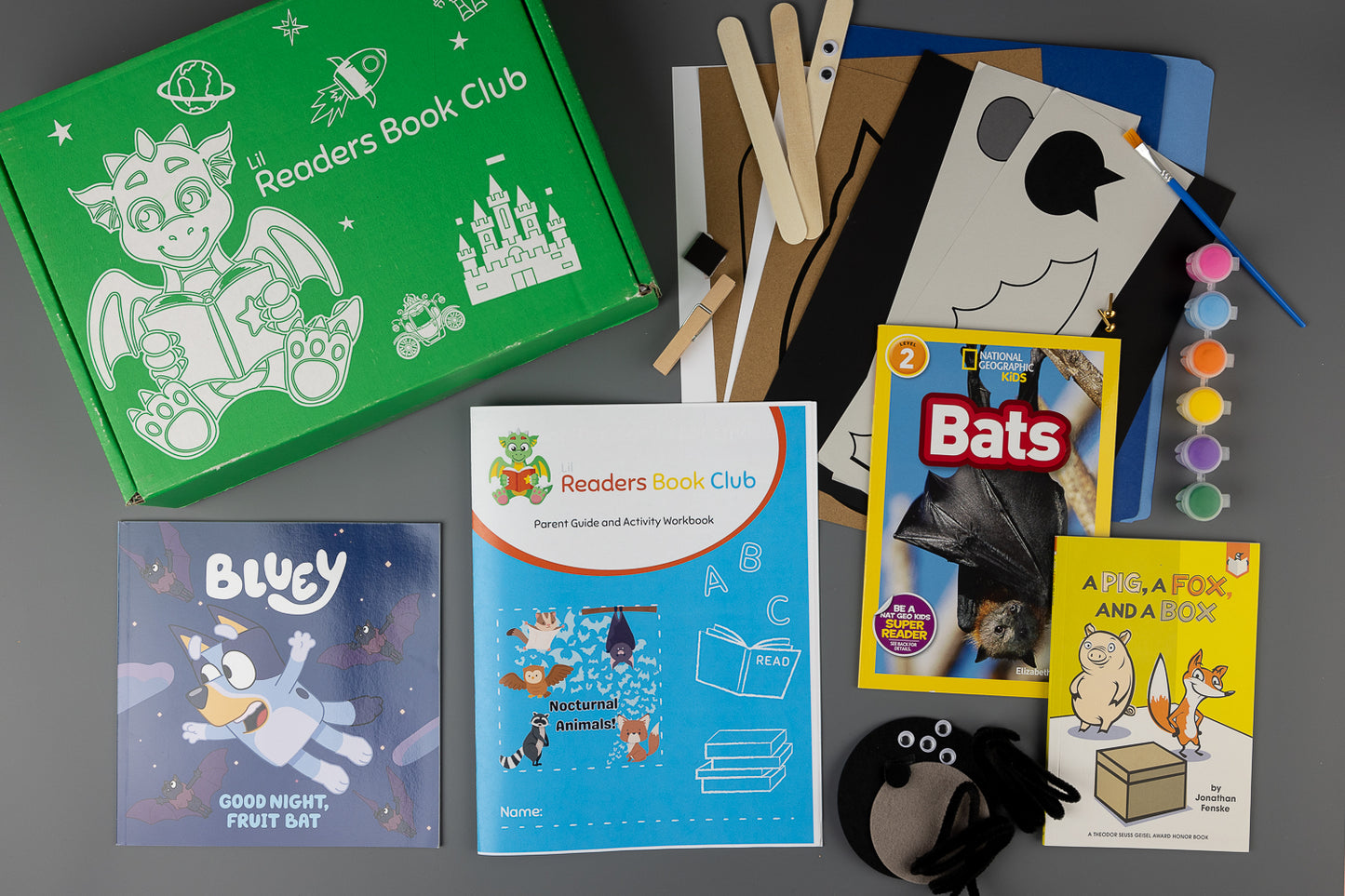 display of books and materials for nocturnal animals themed literacy box from lil readers book club